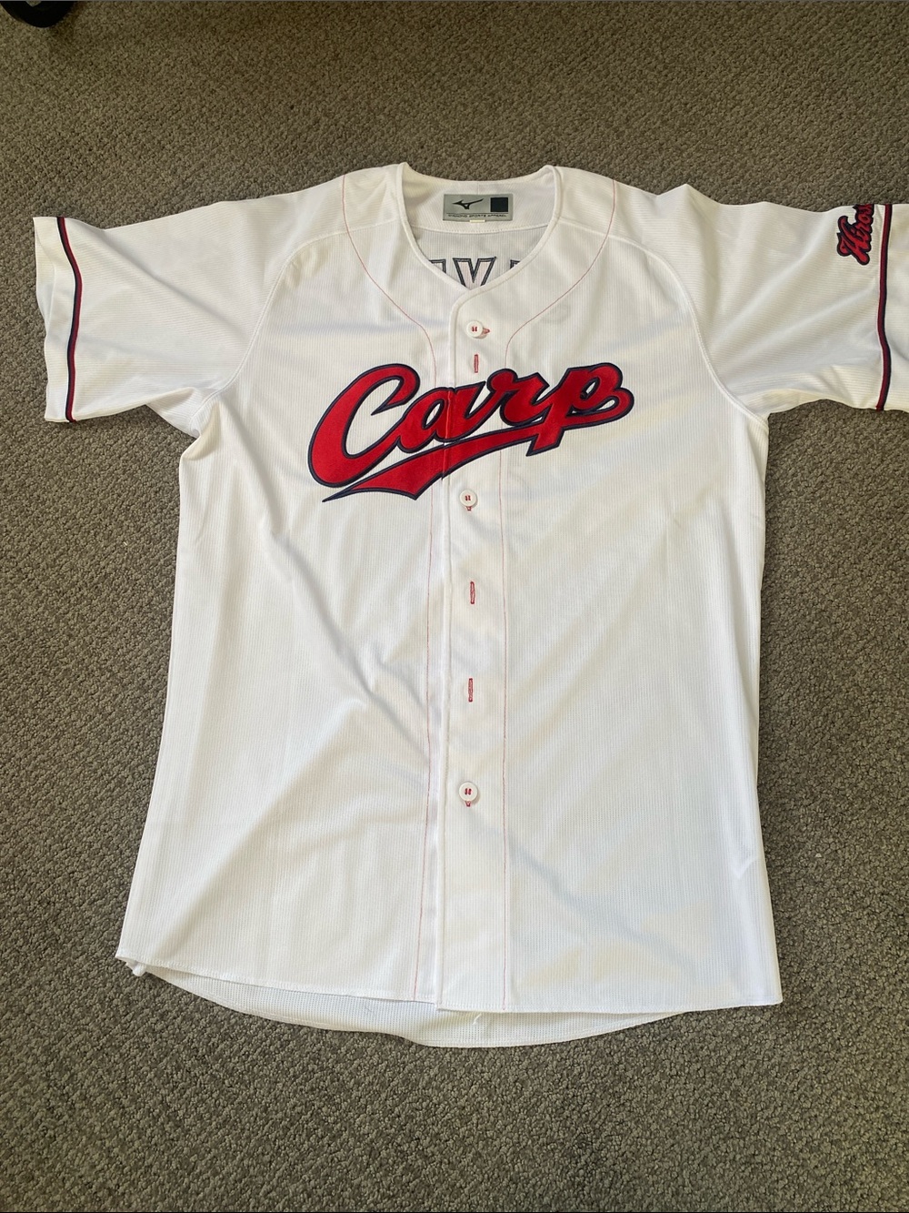Hiroshima Carp Jersey
